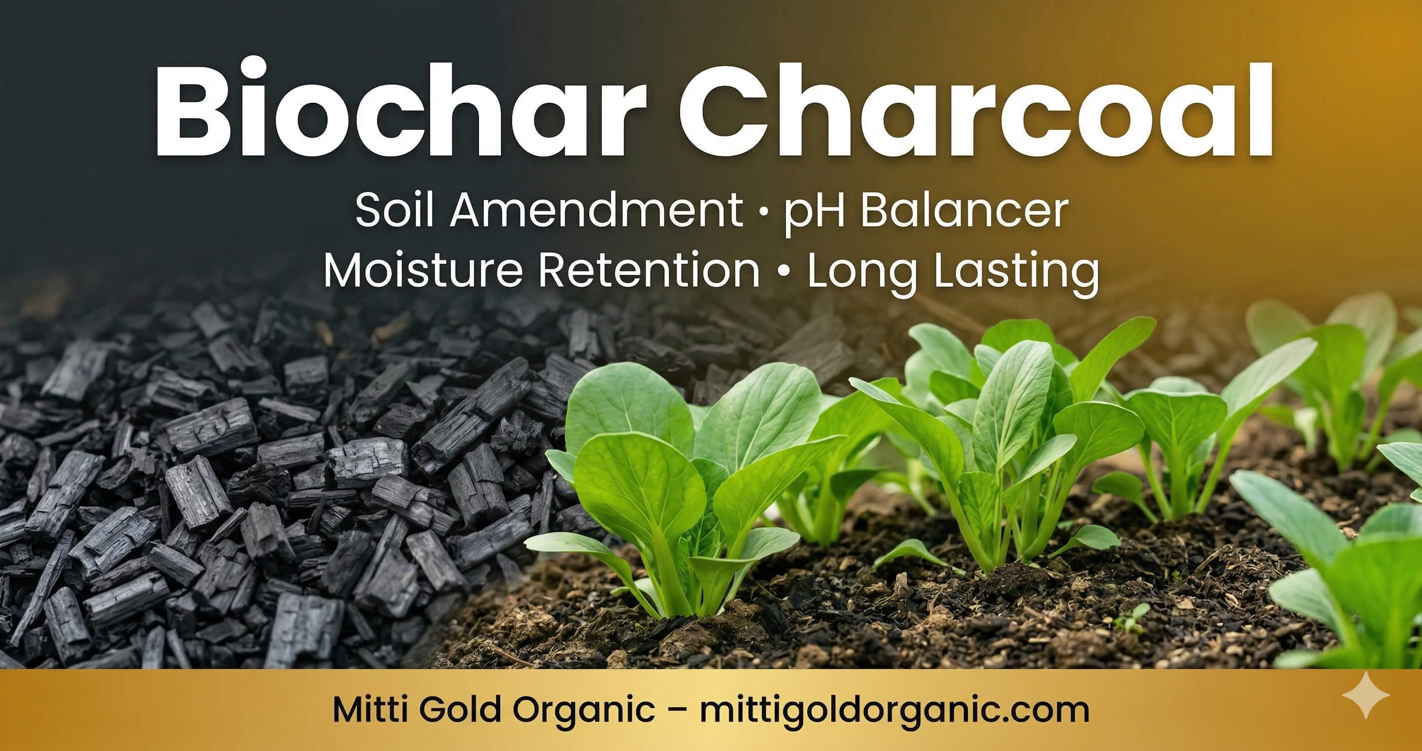 Biochar / Charcoal: Uses in Modern Agriculture