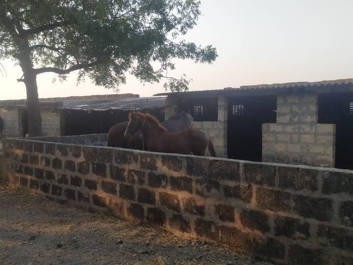 vah shayari veshvani hai Porbandar
