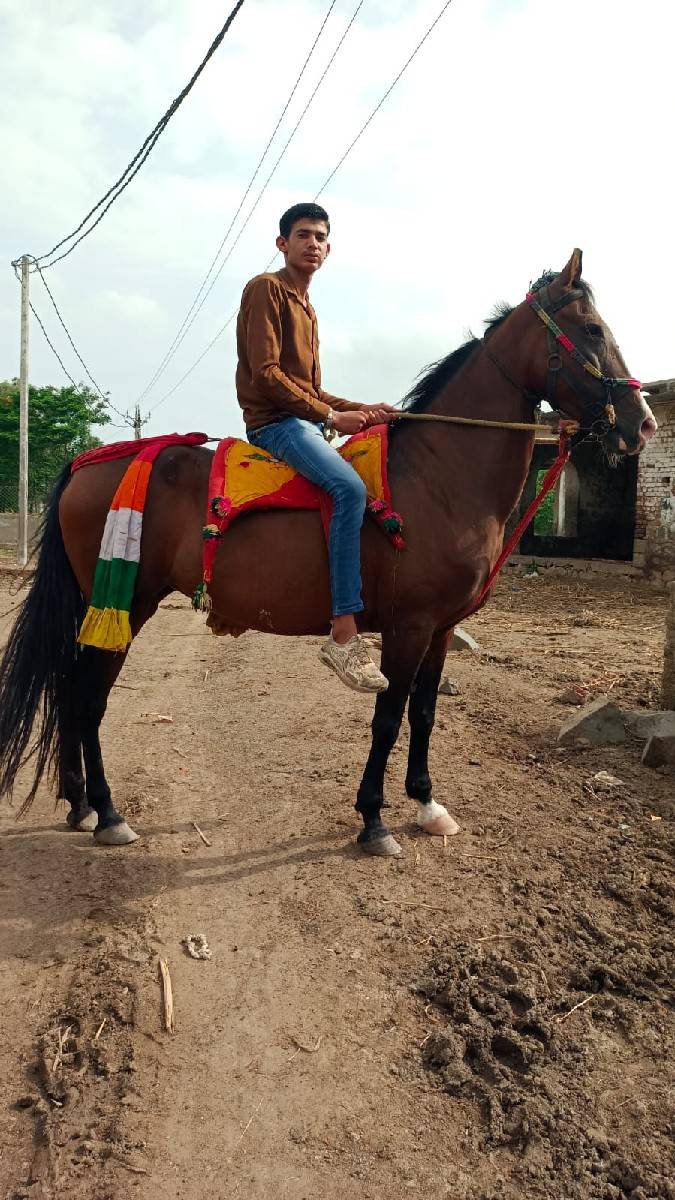 વેચવાના છે