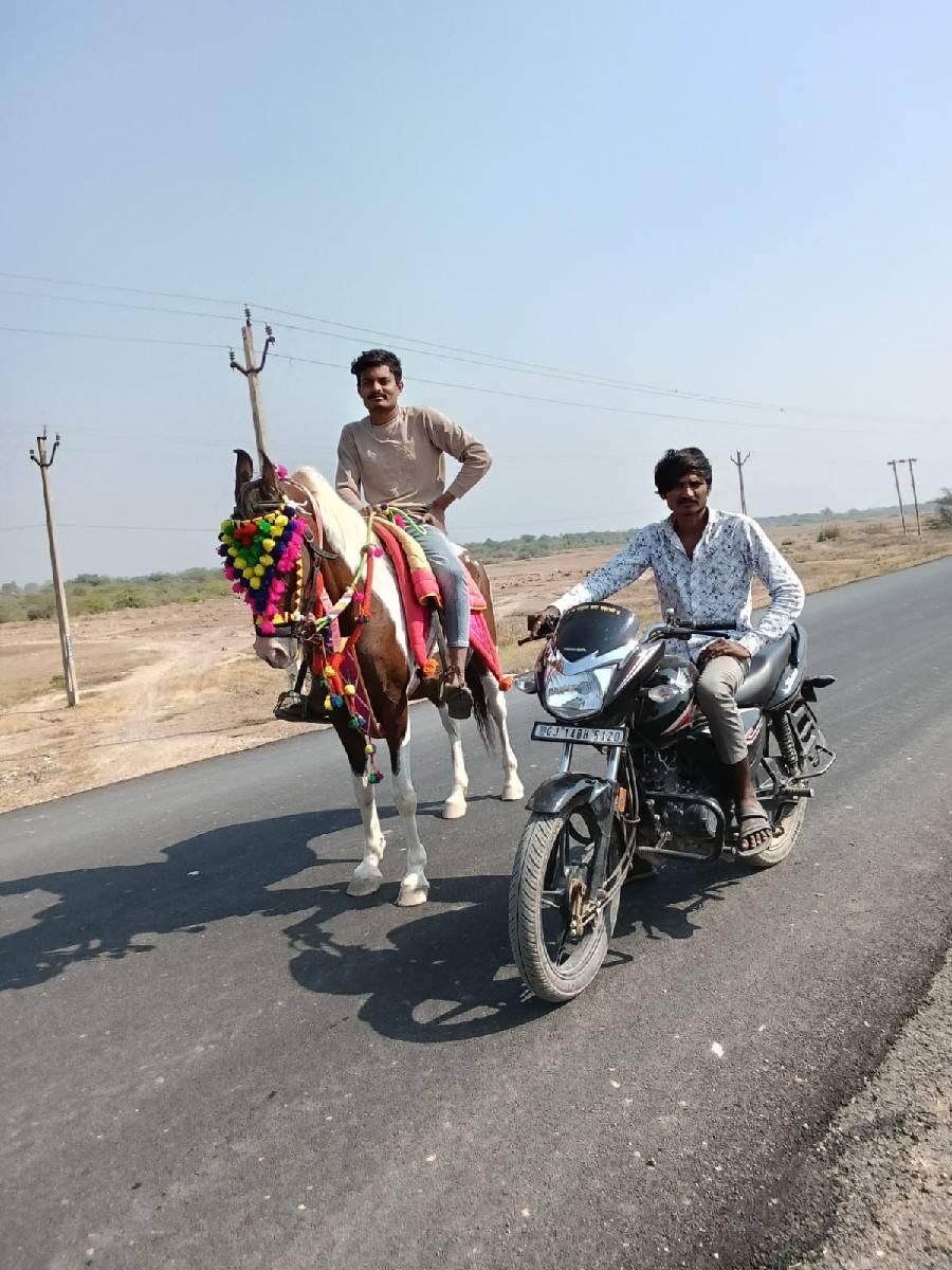 સાટા કરવાના છ