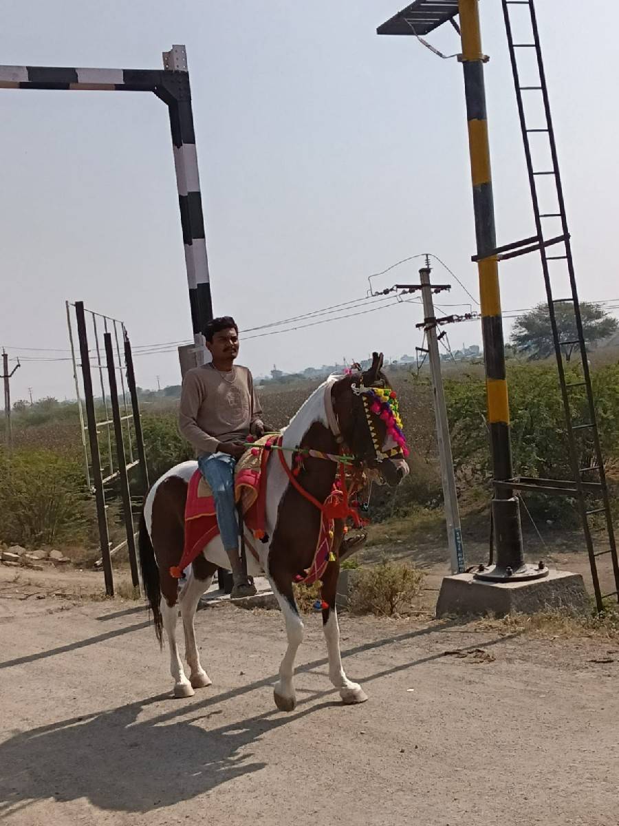સાટા કરવાના છ