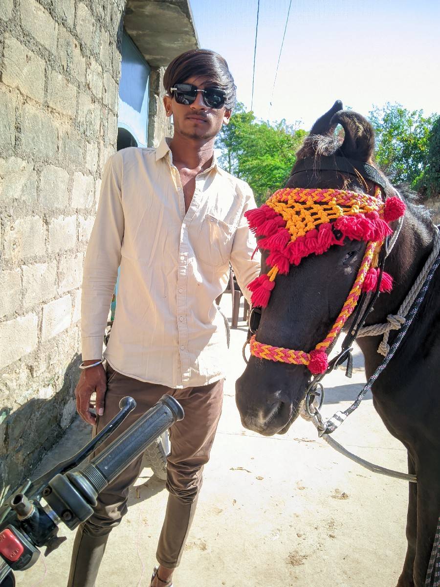 ઘોડો ના સાટા કર વાના છે