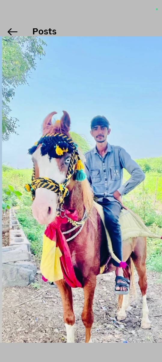 વેચવાનો છે