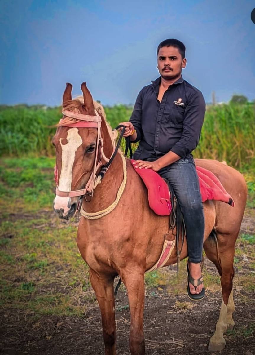 આ ઘોડી વેસવાની છે
