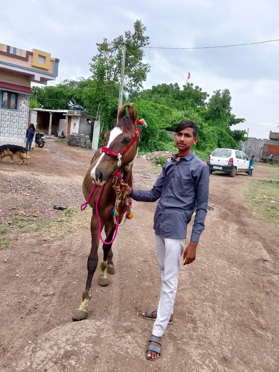 Osey Rana tamakhori levani ji