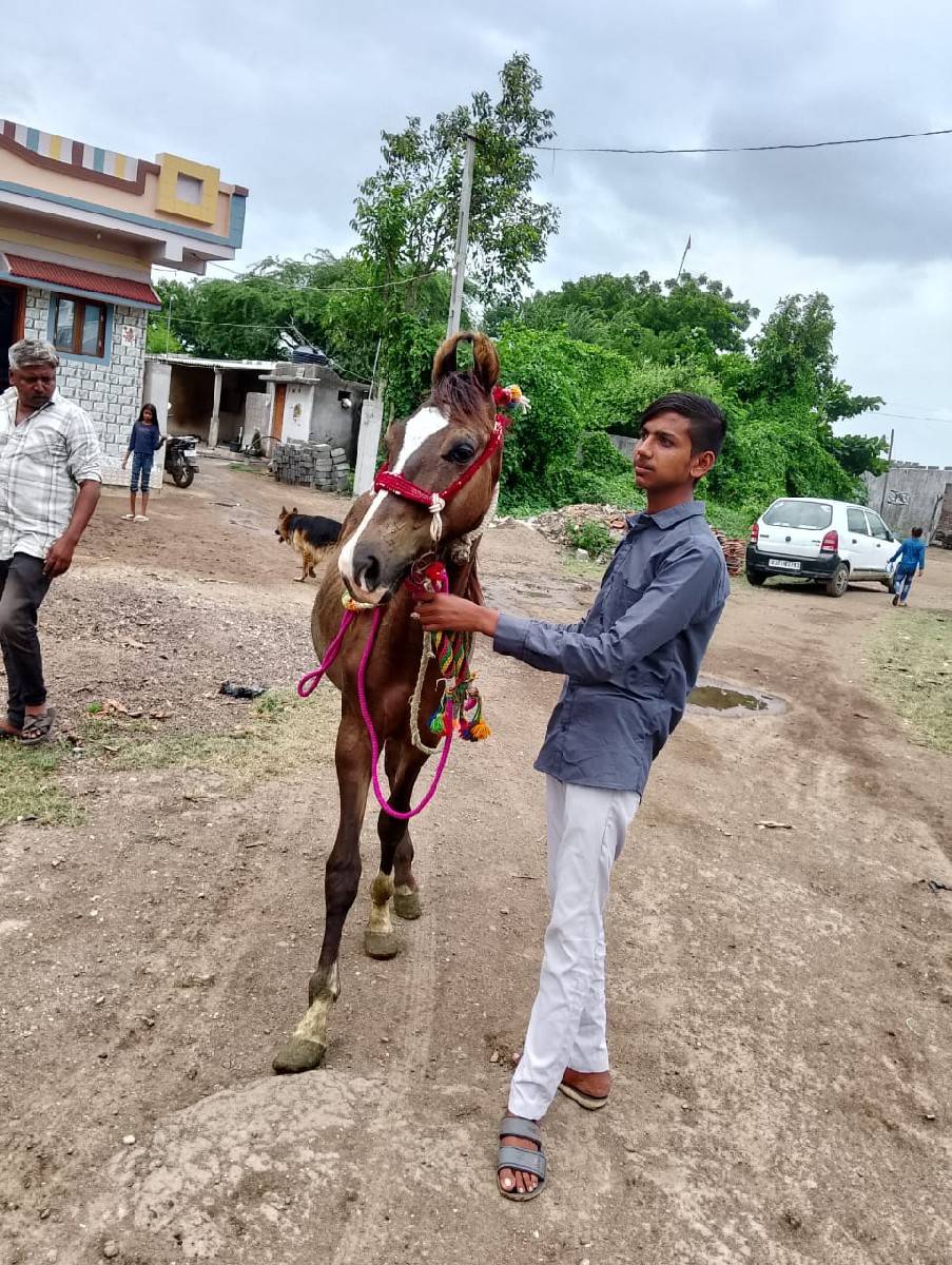 Osey Rana tamakhori levani ji