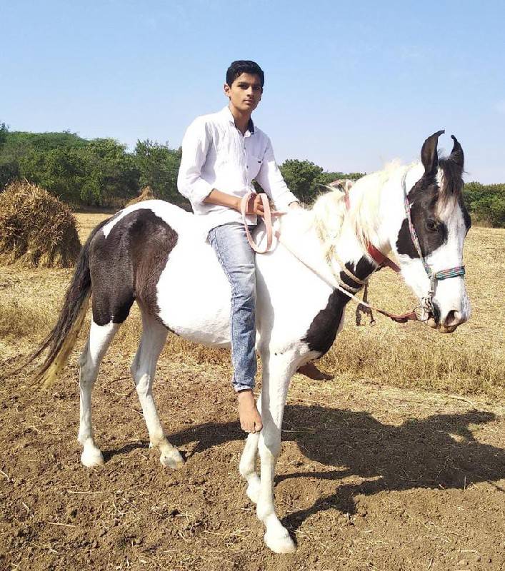 ghodi sat varasni che