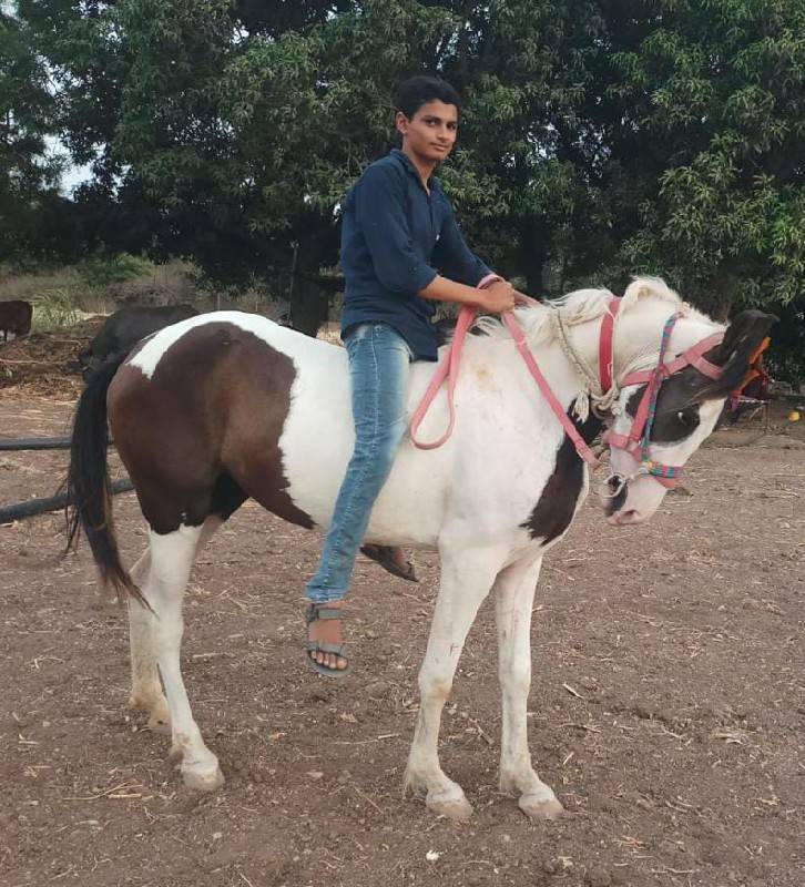 ghodi sat varasni che