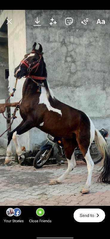 chetan barad