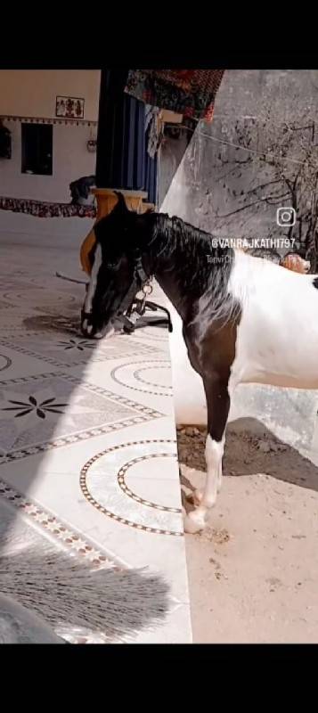 આ વસેરી વેસવાની સે સાટા કરવાના