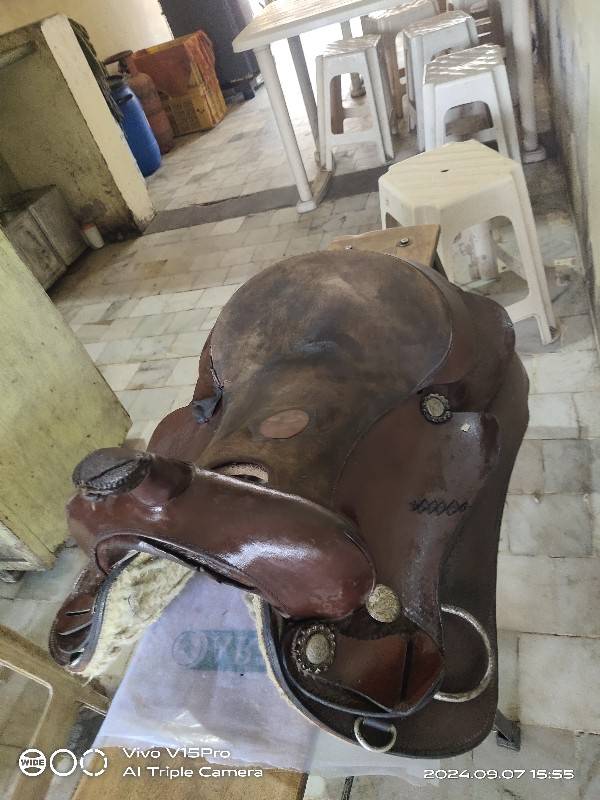 વેસ્ટન સેડલ