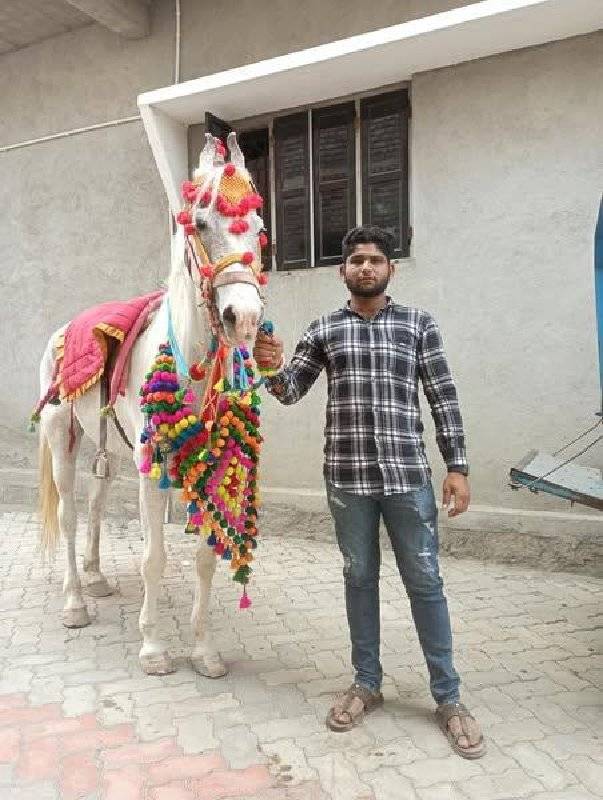 sanjab ghodi vesvani se