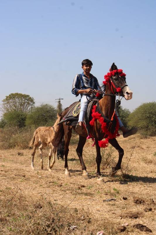 માં દીકરી બેય દેવા ના છે