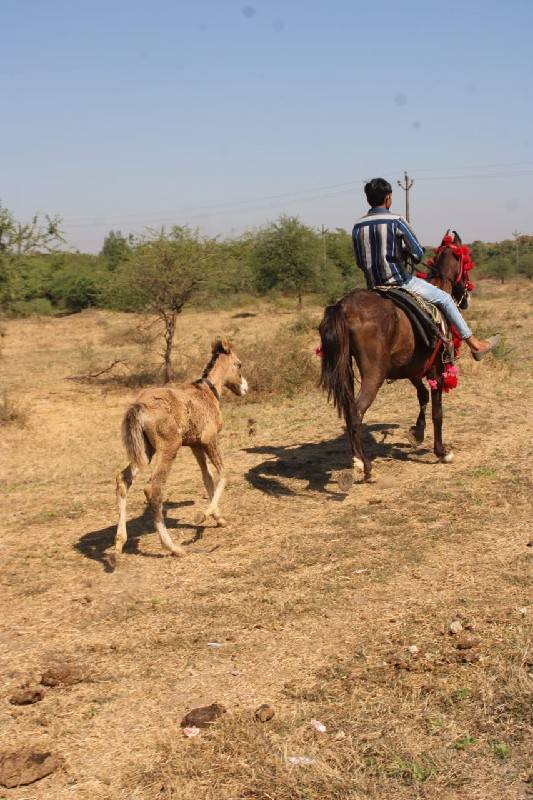 માં દીકરી બેય દેવા ના છે