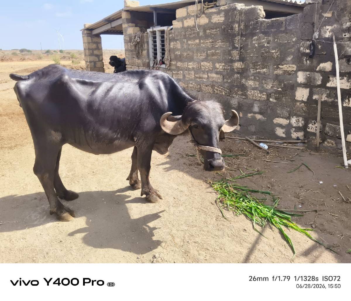 એક મહીના કાચિ સે