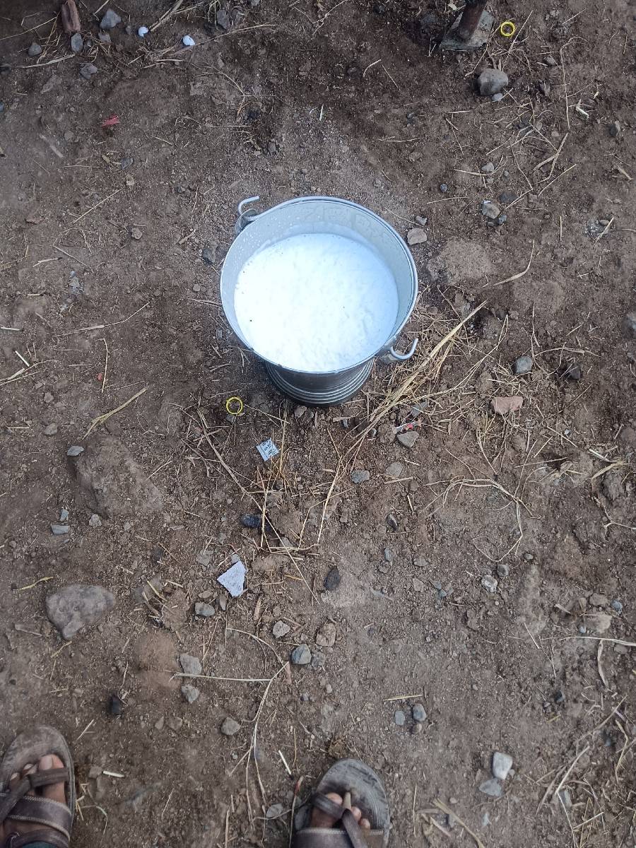 ભેંસ વેચવાની છે