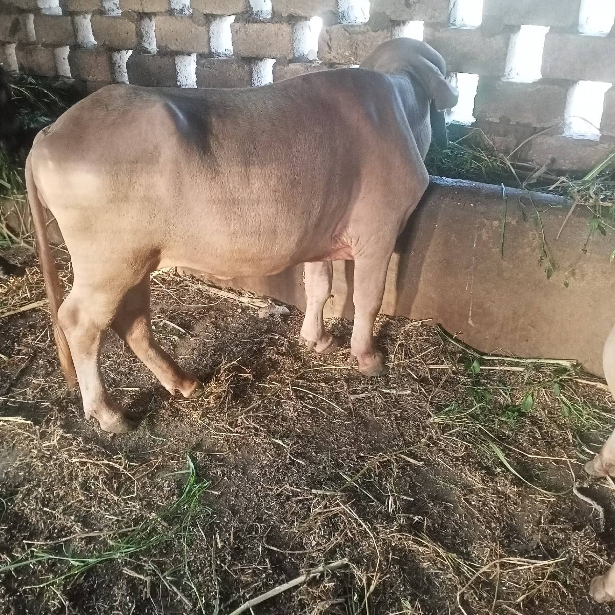 વેચવાની છે
