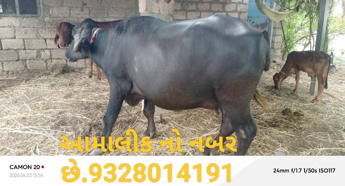 140000