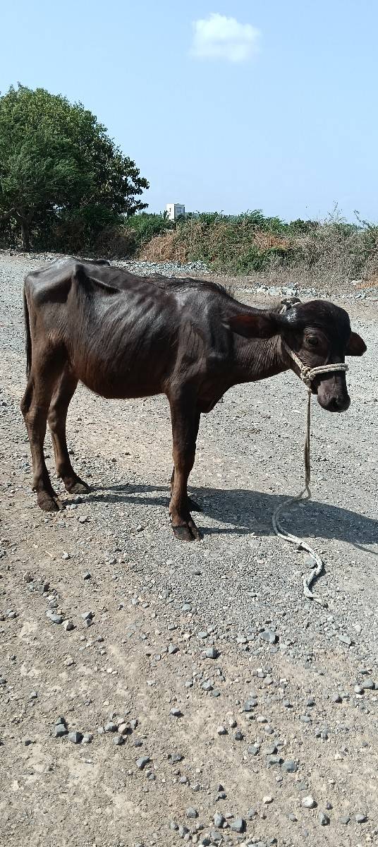 પોરબંદર જિલ્લો