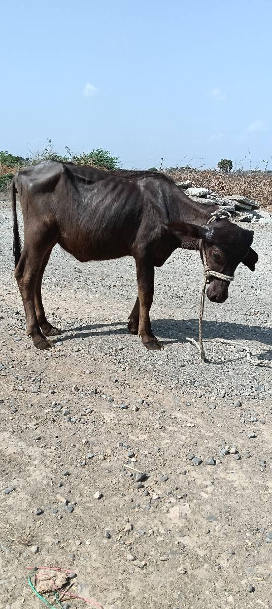 પોરબંદર જિલ્લો