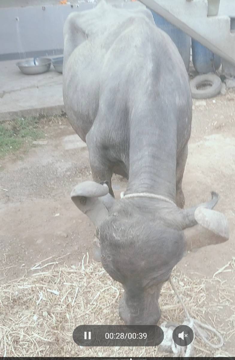 વેચવાની છે