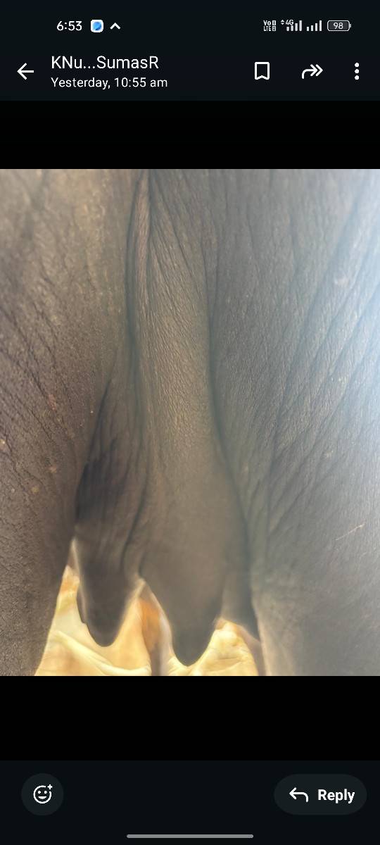 સુરેશભાઈ