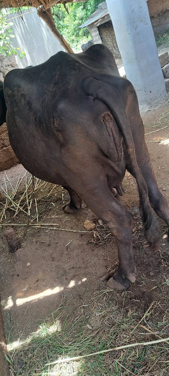 વેચવાની છે