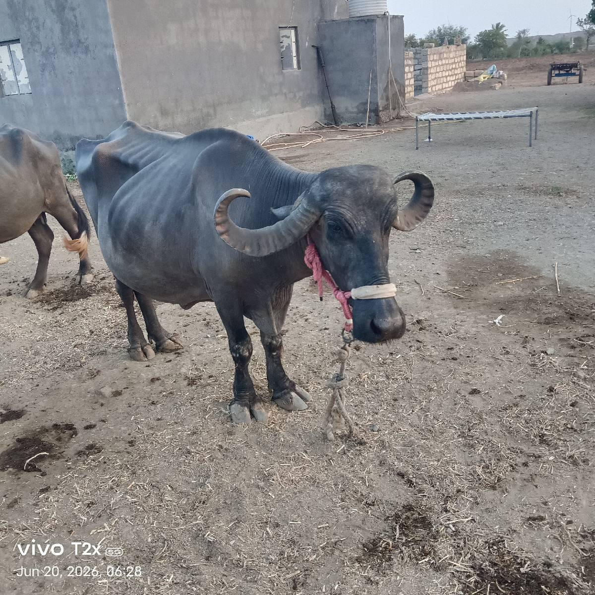 ચોથું વેતર
