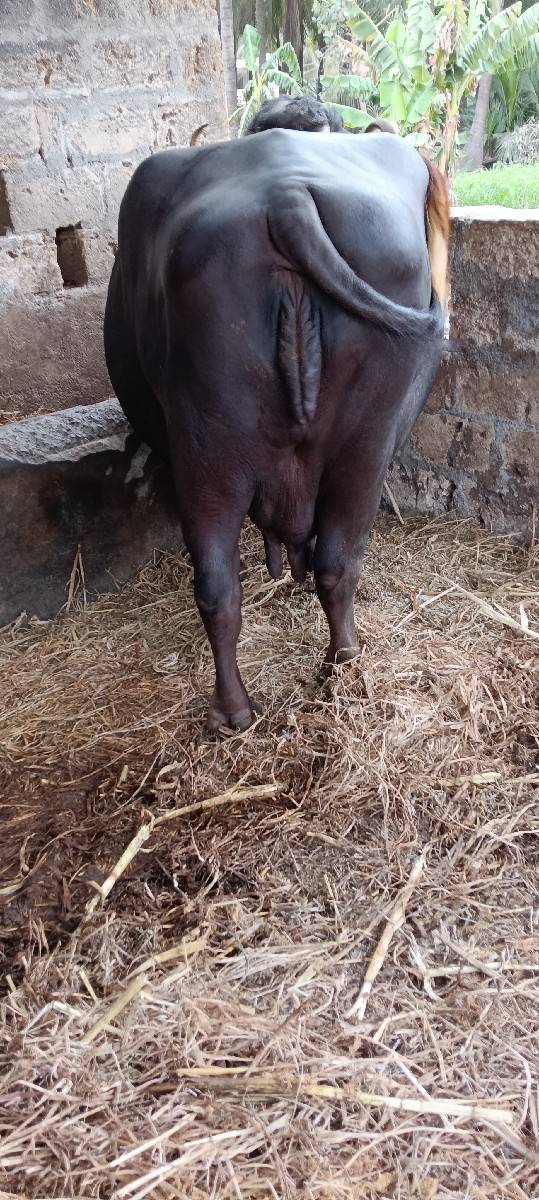 વેચવાની છે