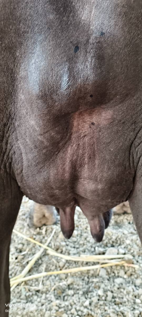 9274703477