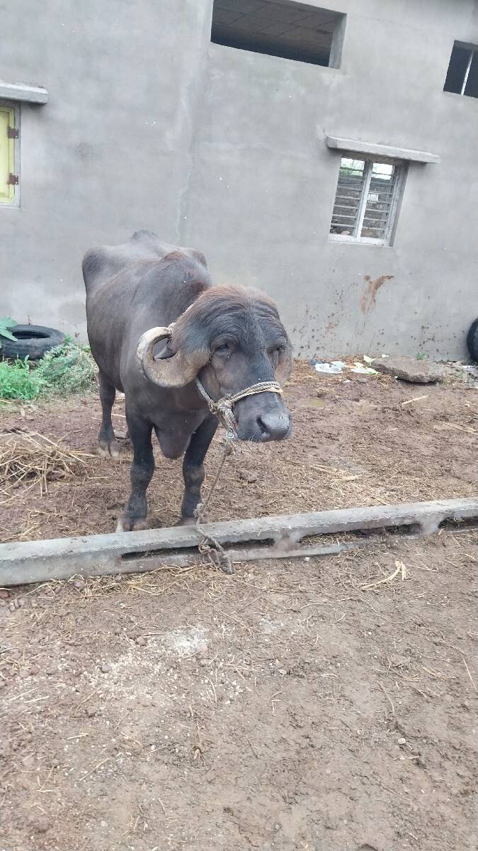 એક એક આપવાની છે