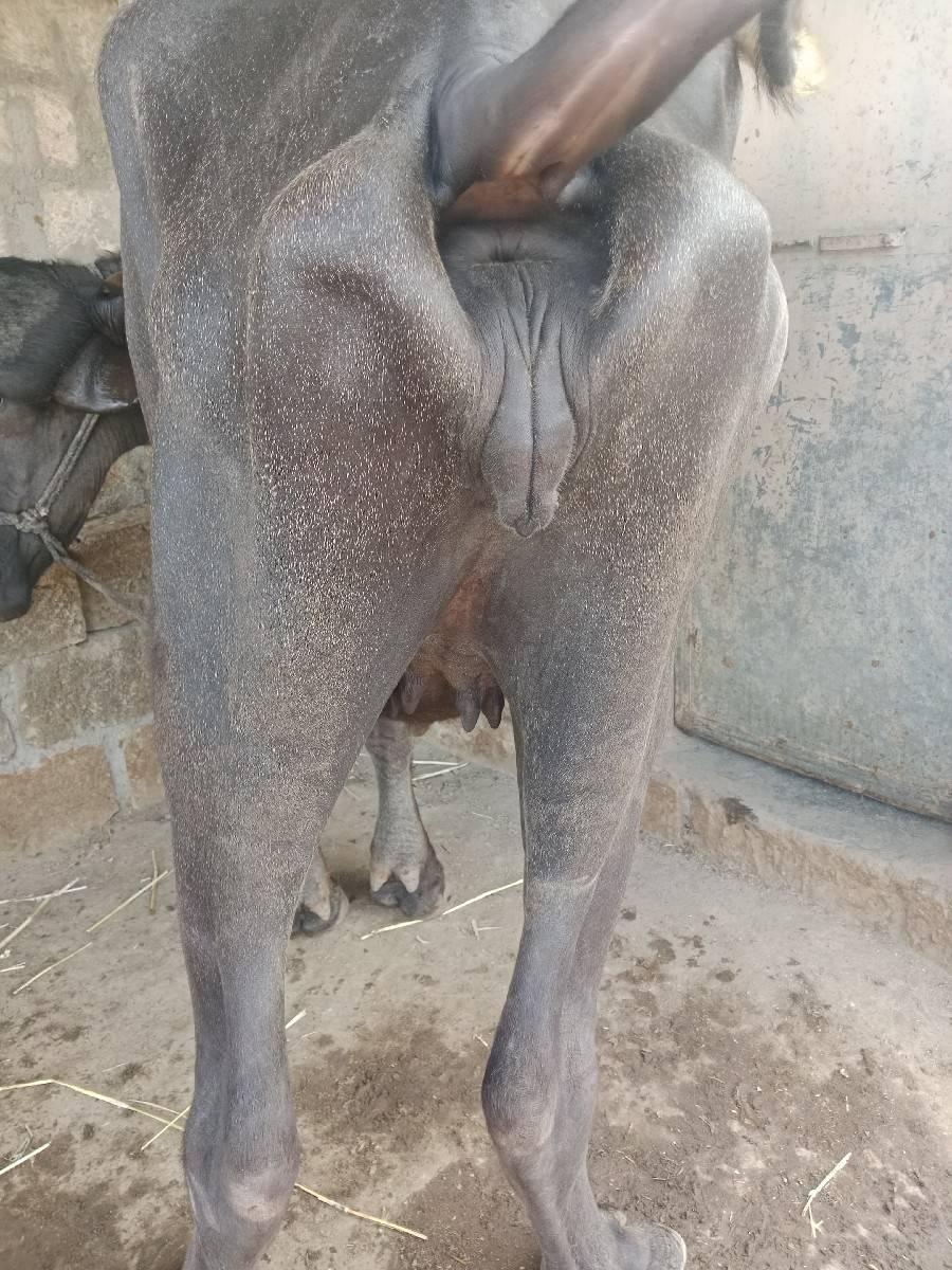 લેવા માટે જ ફોન કે મેસેજ કરવો