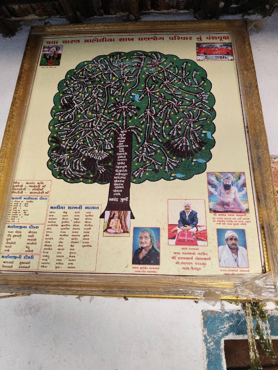 સાત મહિના ગાભણી