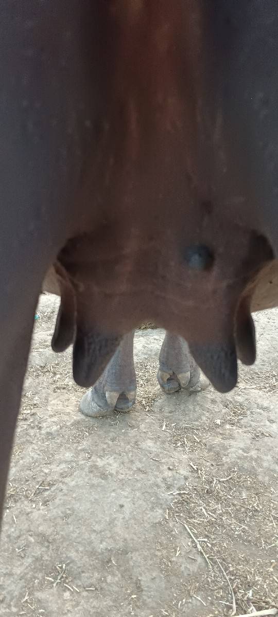 પહેલું વેતર ખડેલી