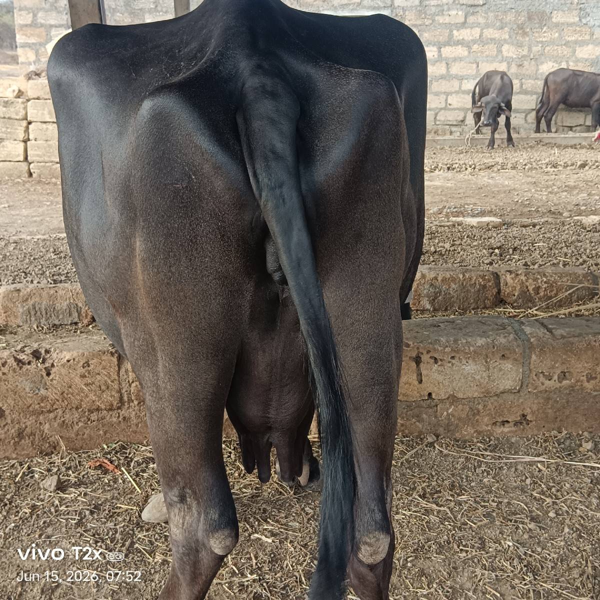 બીજું વેતર