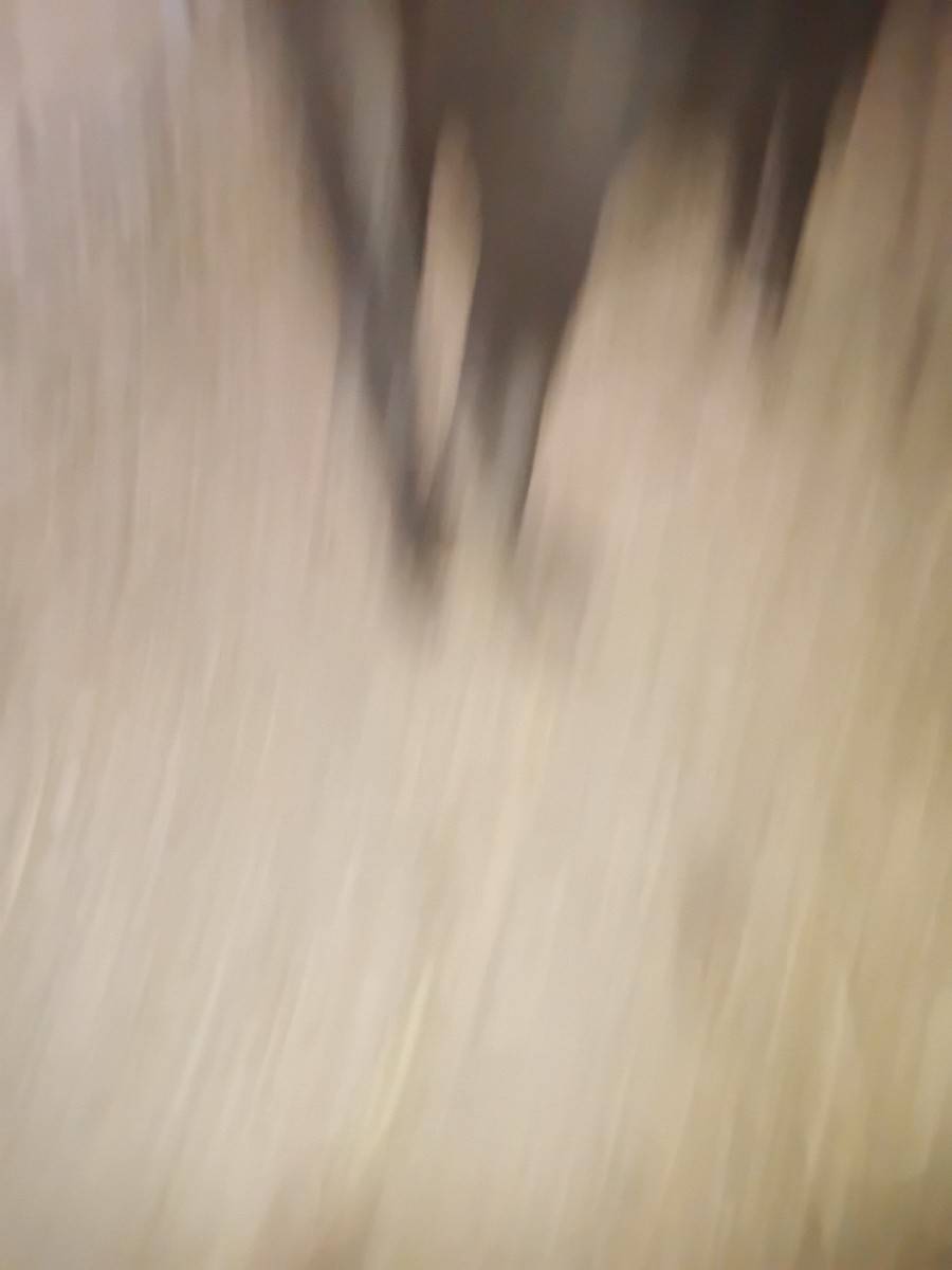 વેચવાની છે