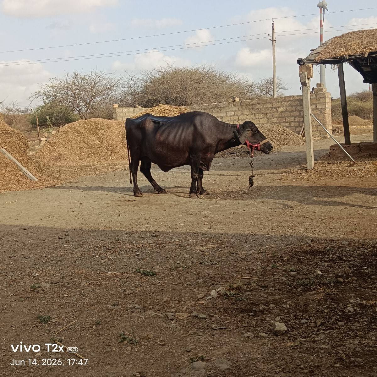 ચોથું વેતર