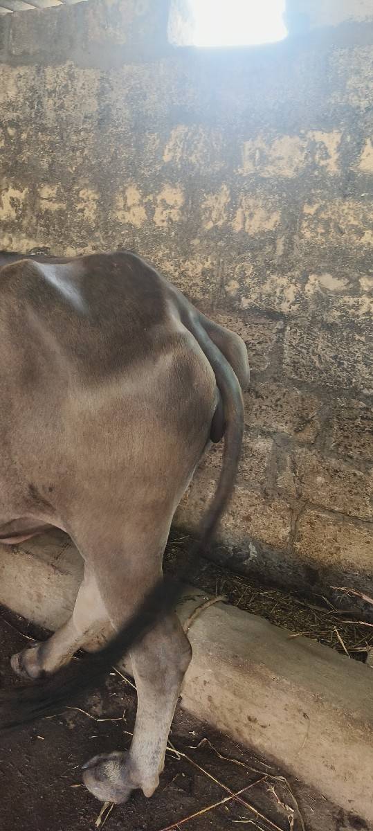 ખડાય વેચવાની છે