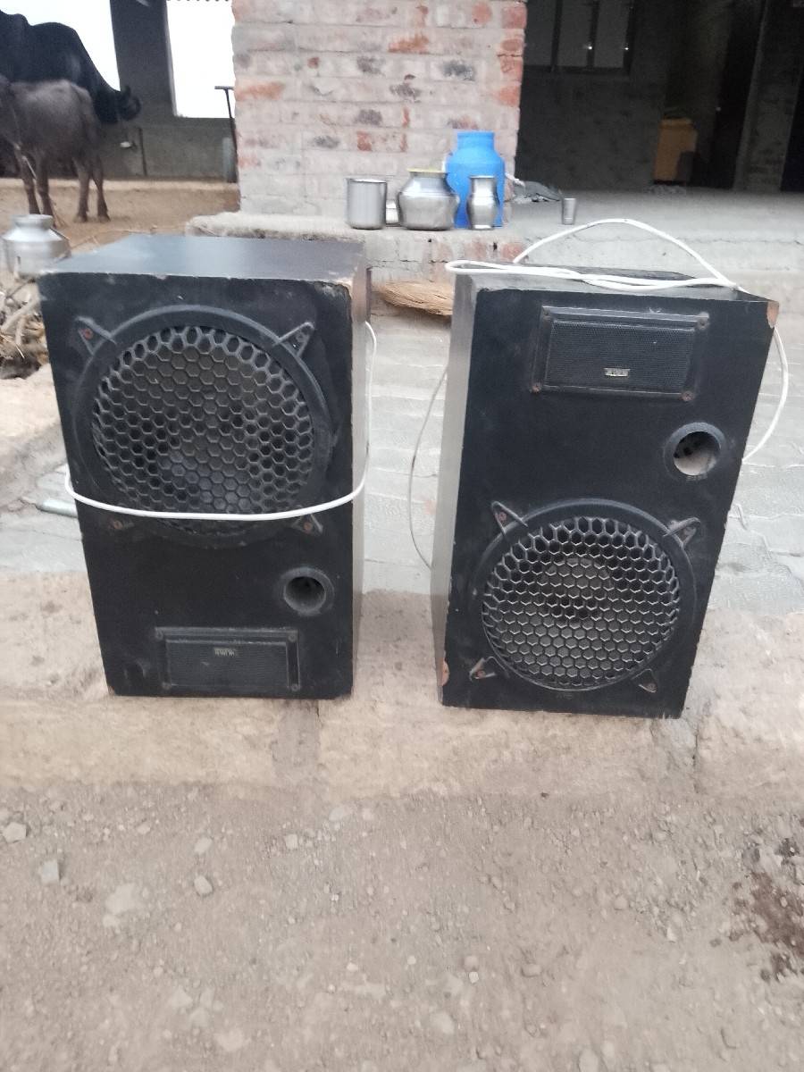 10 ના ટીડીયા વેચવાના