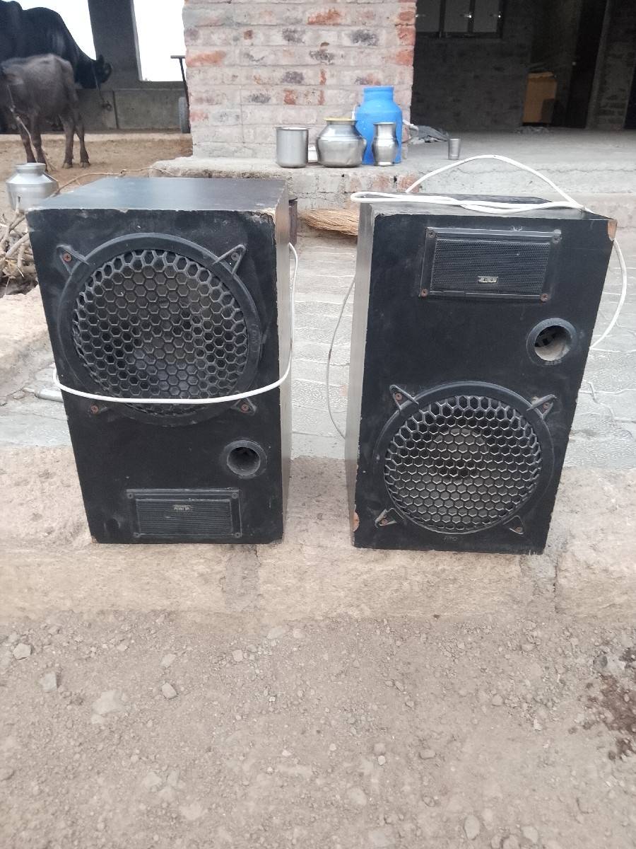 10 ના ટીડીયા વેચવાના