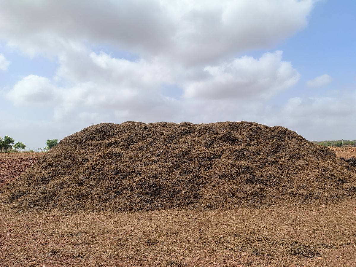 ભૂકો વેચવા નો છે