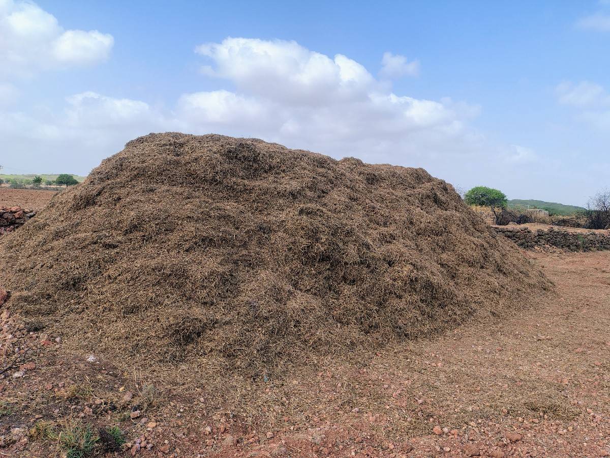 ભૂકો વેચવા નો છે
