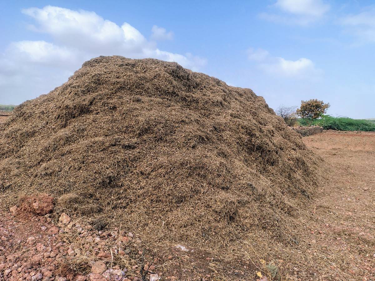 ભૂકો વેચવા નો છે