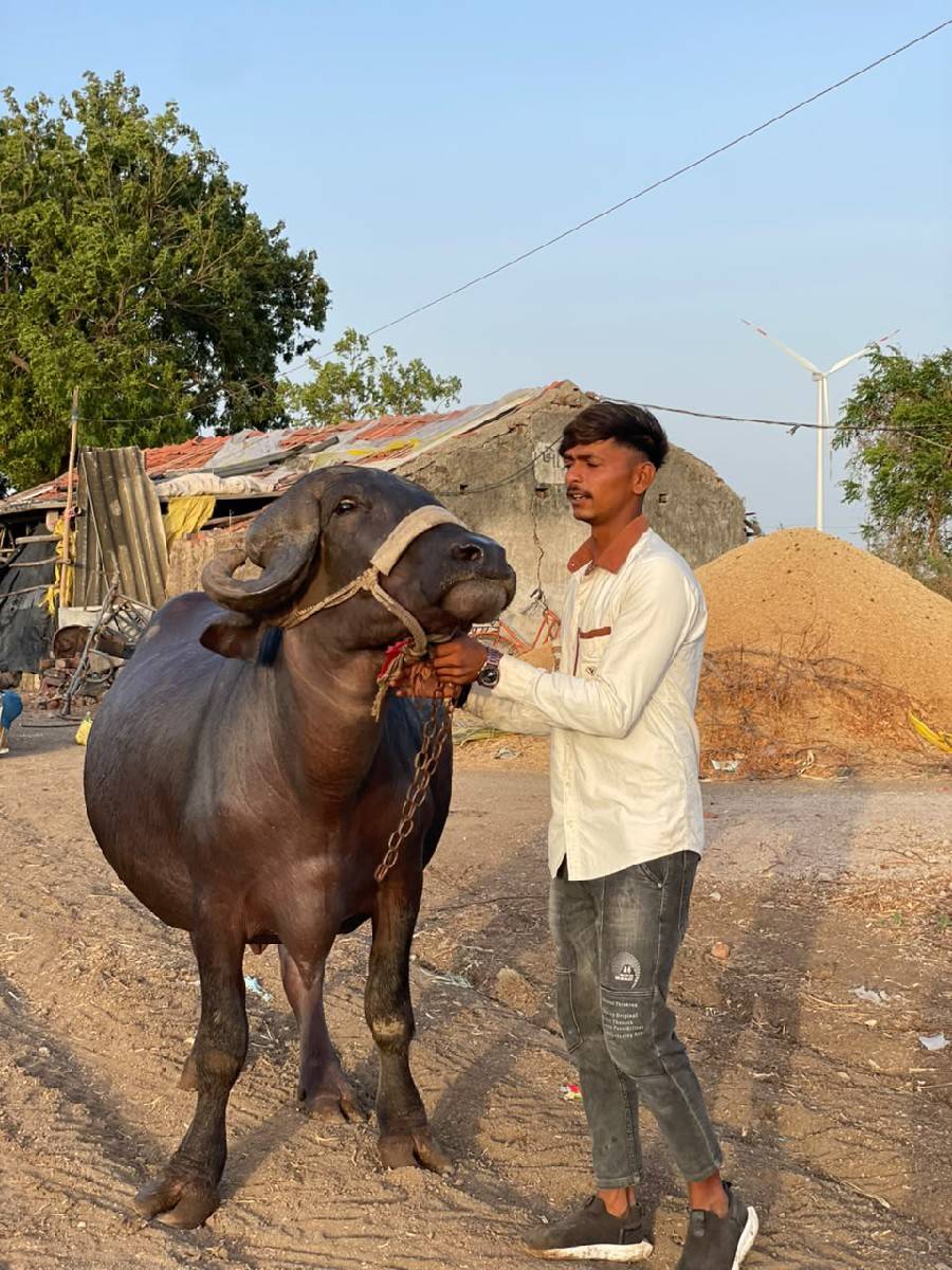 ખડાય