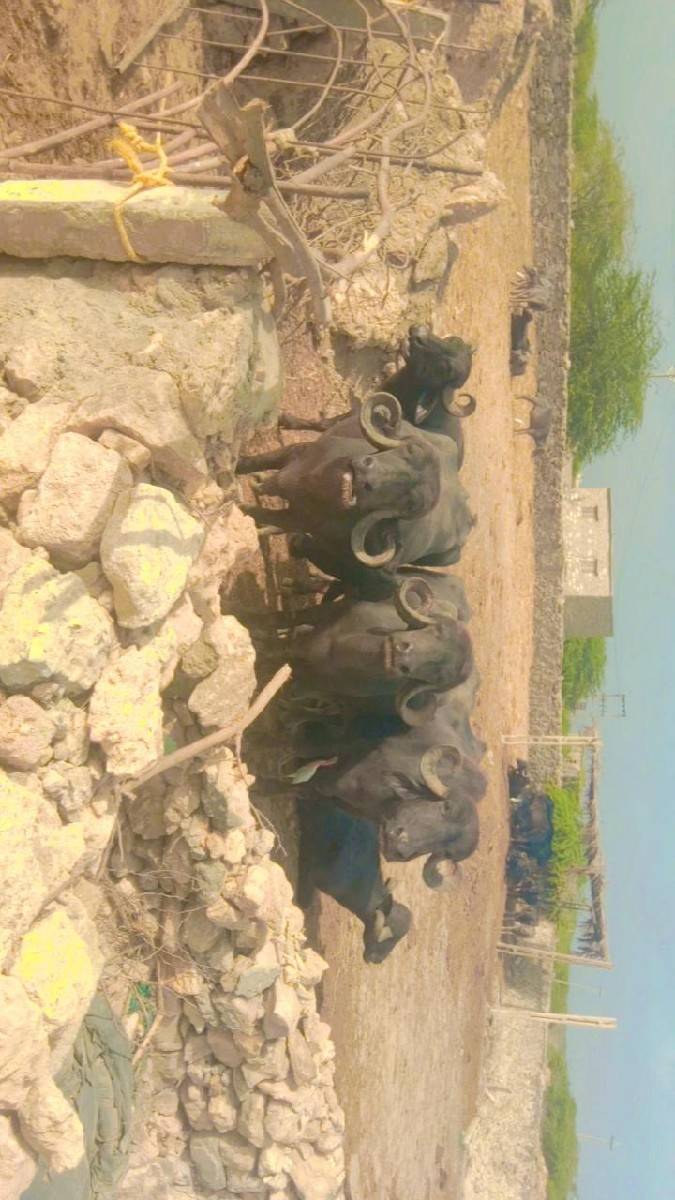 કોન્ટેક કરો