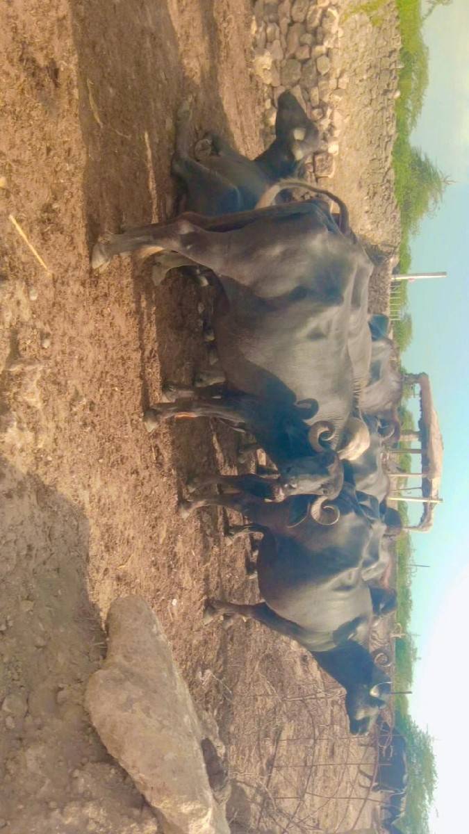 કોન્ટેક કરો