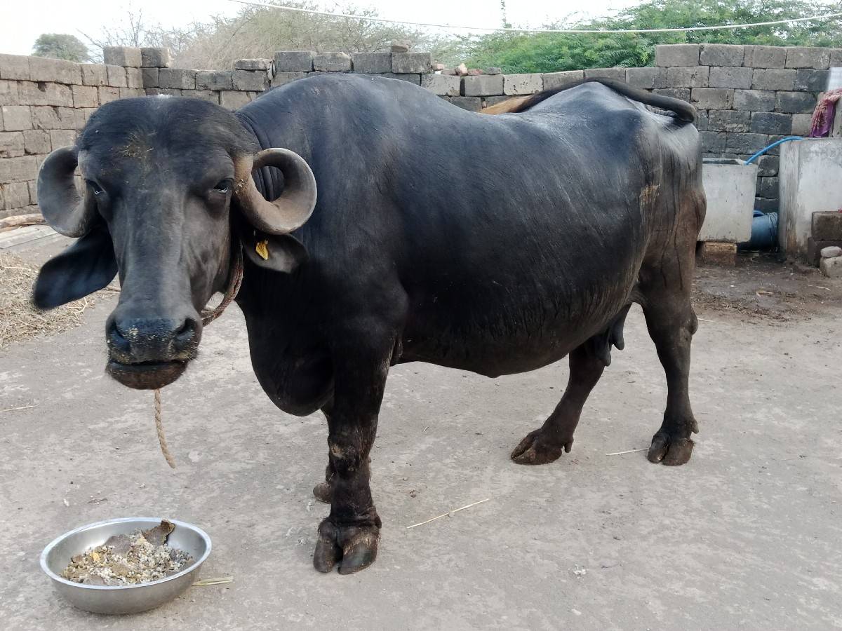 લેવા માટે જ ફોન કે મેસેજ કરવો