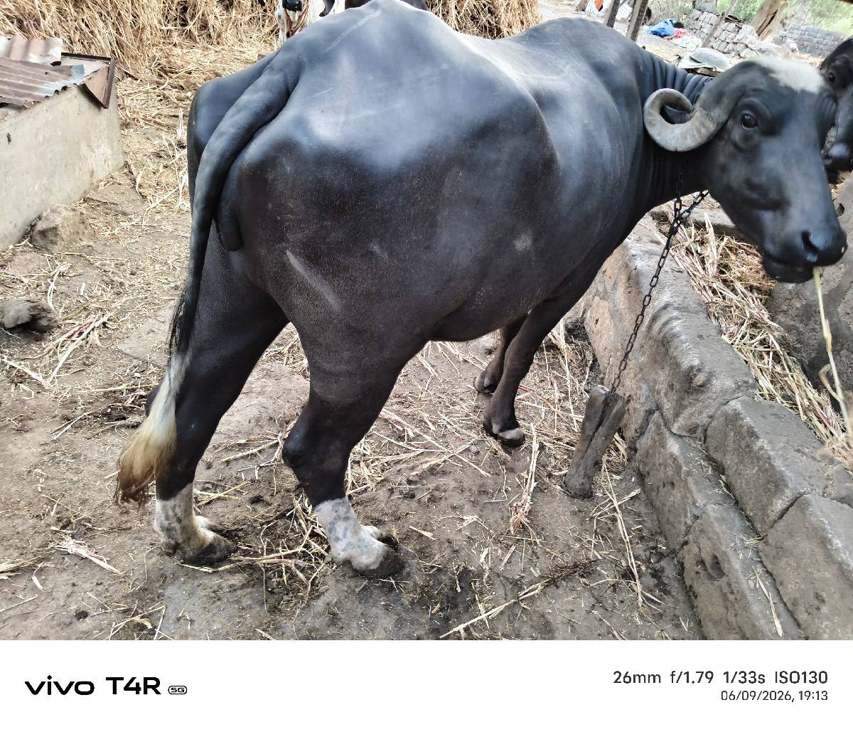 વેચવાની છે