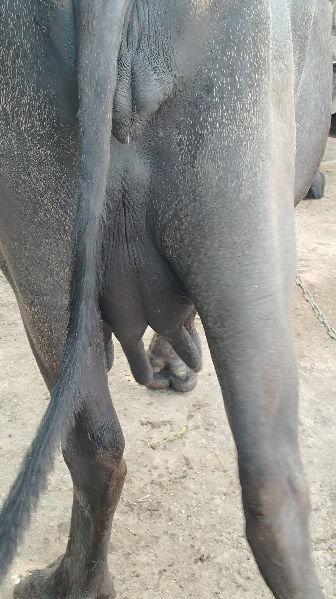બીજું વેધર આઠ દસ દિવસની વાર