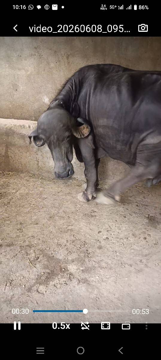 9898487583